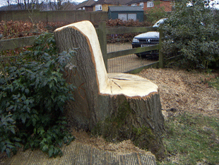 South Bucks Tree Surgeons Tree Stup Sculpting